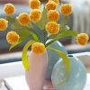 Yellow Billy Buttons paint by numbers