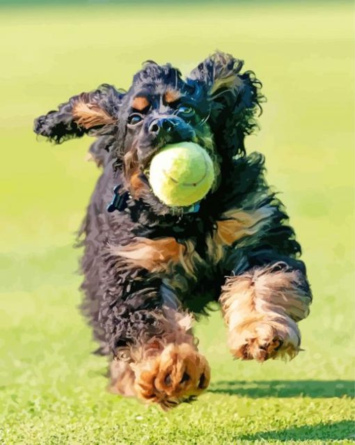 American Cocker Spaniel Running With Ball Paint By Numbers