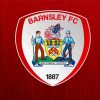 Barnsley FC Logo Paint By Numbers