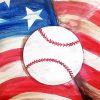 Baseball American Flag With Cheetah Paint By Numbers