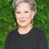 Bette Midler Paint By Numbers