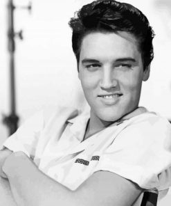 Black And White Elvis Paint By Numbers