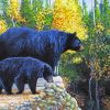 Black Bear With Cub Paint By Numbers