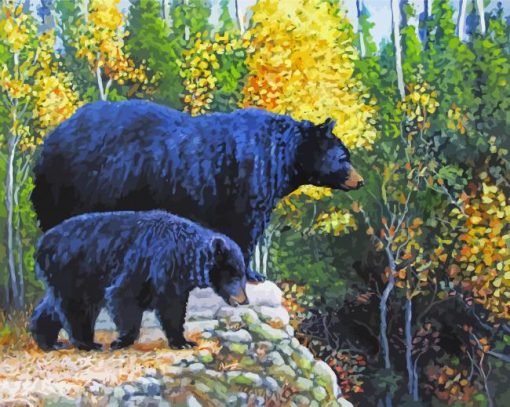 Black Bear With Cub Paint By Numbers