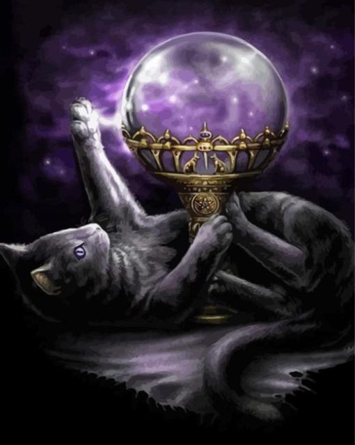 Black Cat With Crystal Ball Paint By Numbers