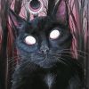 Black Gothic Cat Paint By Numbers