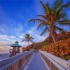 Boardwalk In Boca Raton Paint By Numbers