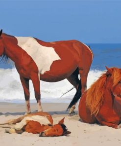 Chincoteague Horses Animals Paint By Numbers