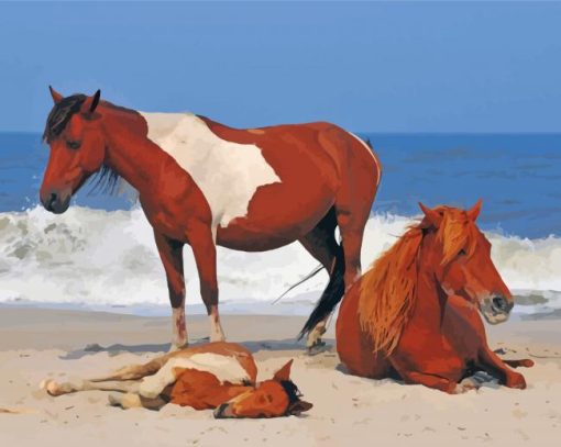 Chincoteague Horses Animals Paint By Numbers