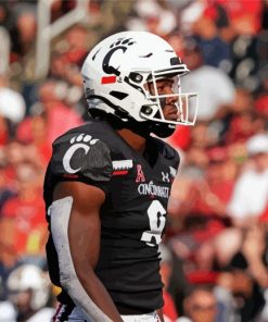 Cincinnati Bearcats Football Team Player Paint By Numbers