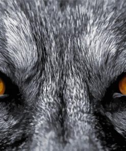 Close Up Yellow Wolf Eyes Paint By Numbers