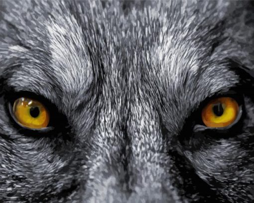 Close Up Yellow Wolf Eyes Paint By Numbers