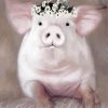 Cute Floral Pig Paint By Numbers