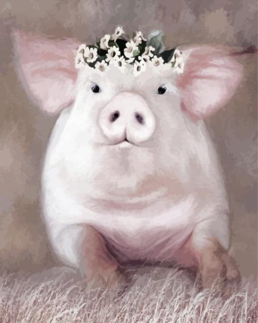 Cute Floral Pig Paint By Numbers