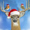 Deer Wearing A Christmas Hat Paint By Numbers