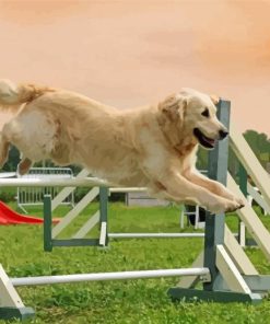 Dog Agility Paint By Numbers