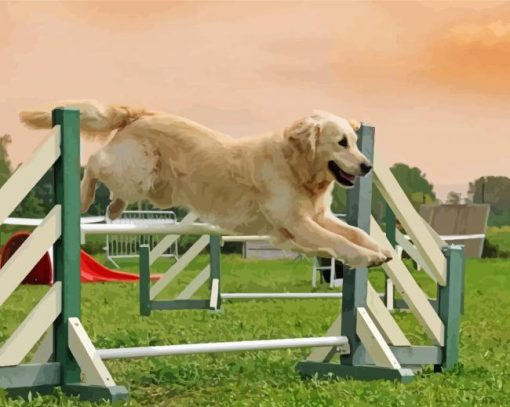 Dog Agility Paint By Numbers