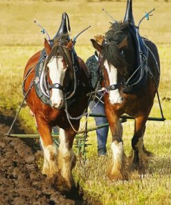 English Plow Horses Paint By Numbers