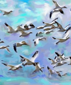 Flock Of Birds Paint By Numbers