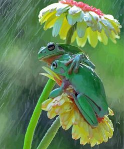 Frogs In The Rain Paint By Numbers