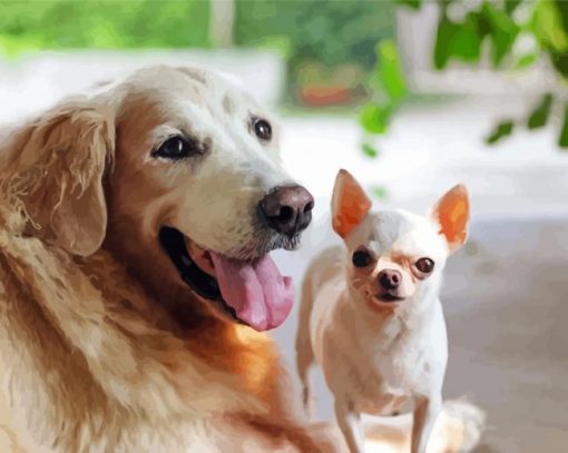 Golden Retriever And Chihuahua Dogs Paint By Numbers