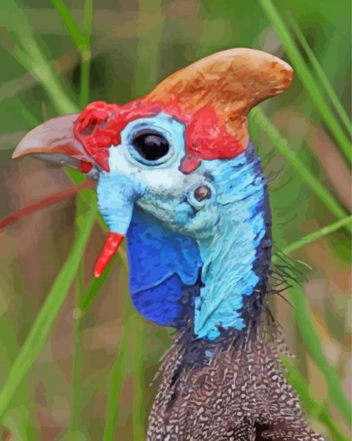 Guineafowl Head Paint By Numbers