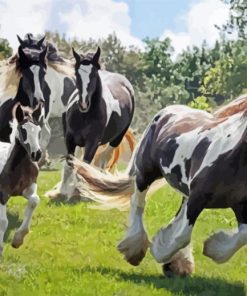 Gypsy Vanner Horses Paint By Numbers