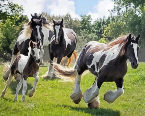 Gypsy Vanner Horses Paint By Numbers