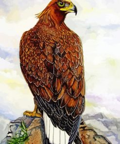 Harris Hawk Bird Art Paint By Numbers