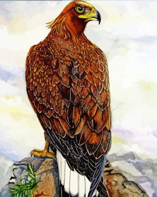 Harris Hawk Bird Art Paint By Numbers