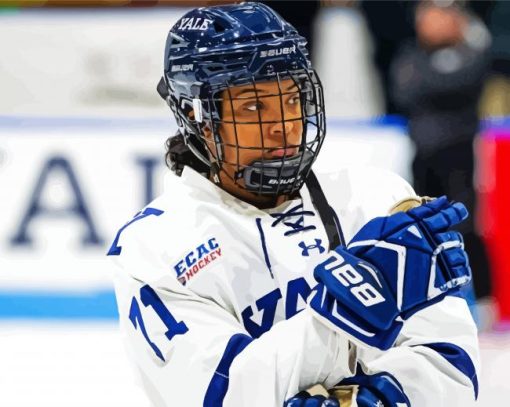 Ice Hockey Girl Paint By Numbers