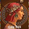 Lady Bird Paint By Numbers