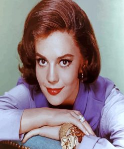 Natalie Wood Actress Paint By Numbers