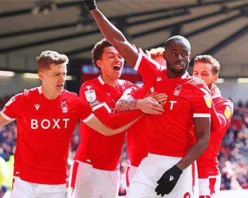 Nottingham Forest Players Paint By Numbers
