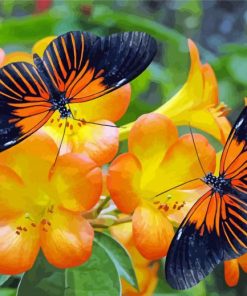 Orange Flowers And Butterflies Paint By Numbers