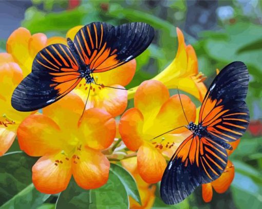 Orange Flowers And Butterflies Paint By Numbers