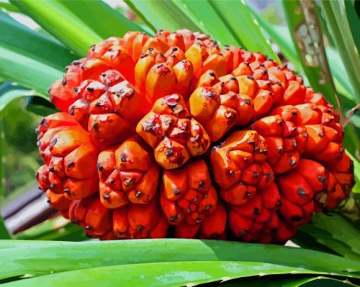 Pandanus Fruit Paint By Numbers