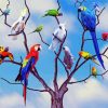 Parrots Tree Paint By Numbers