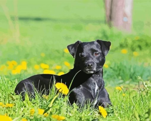 Patterdale Black Dog Paint By Numbers