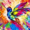 Rainbow Abstract Hummingbird Paint By Numbers