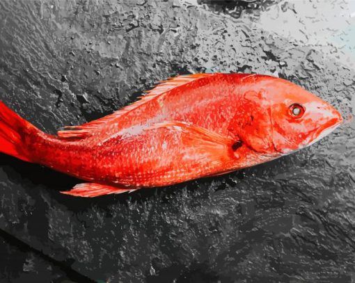 Redfish Animal Paint By Numbers