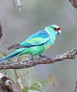 Ringneck Parrot Bird Paint By Numbers