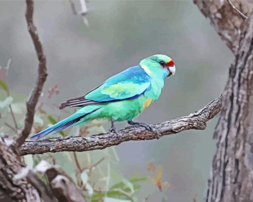 Ringneck Parrot Bird Paint By Numbers