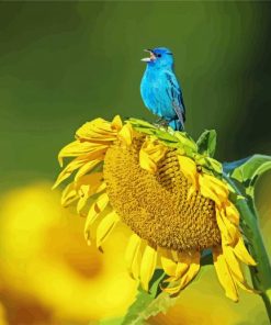 Sunflower And Blue Bird Paint By Numbers