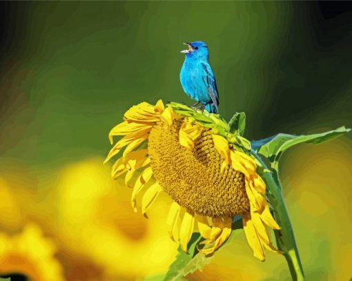 Sunflower And Blue Bird Paint By Numbers
