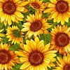 Sunflowers Metallic Paint By Numbers