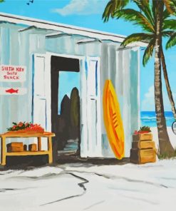 Surf Shack Illustration Paint By Numbers