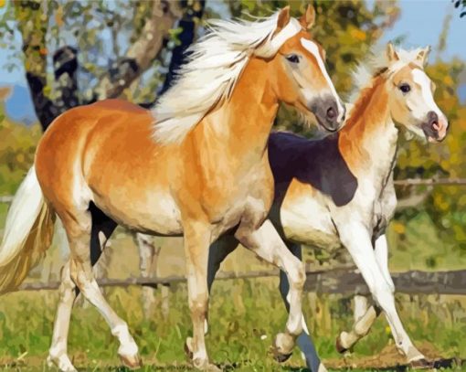Tan Horses Paint By Numbers