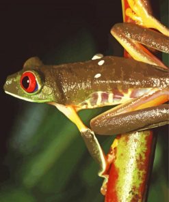 The Tree Frogs Paint By Numbers