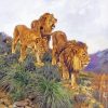 Three Lions Animals Art Paint By Numbers